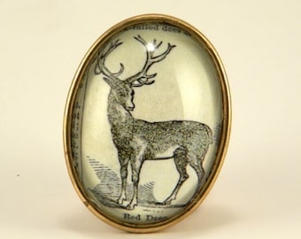 Martha My Deer. Classic dictionary engraving brooch. Memories of a bygone era