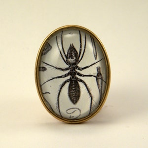 Insectavora Broche Vintage insectes gravure