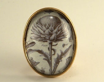 Spring Fling Brooch- vintage Victorian inspired brass thistle plant and weeds specimen pin