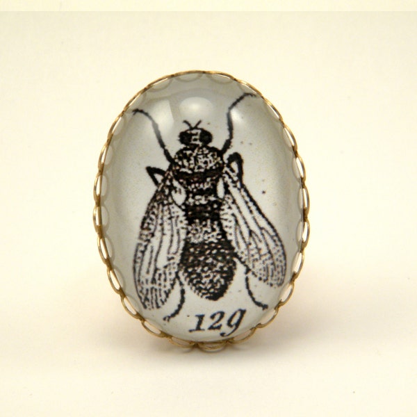 Flies in the honey- vintage inpsired common house fly specimen engraving COCKTAIL RING