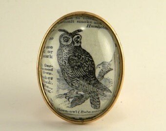 Wise Old Owl- vintage inspired Victorian owl bird dictionary defintion pin brooch