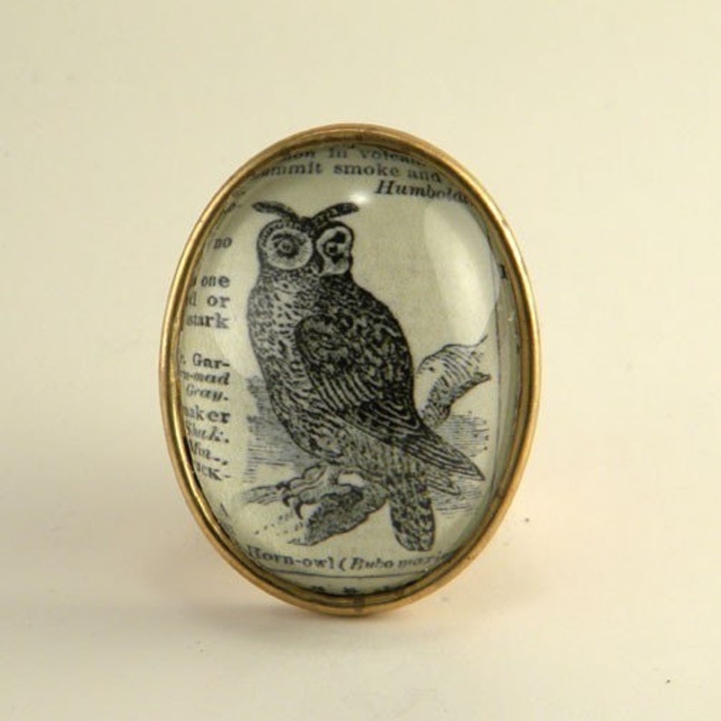 Wise Old Owl vintage inspired Victorian owl bird dictionary defintion pin brooch image 1