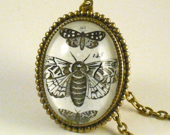Moths Moths Moths- vintage inspired brass specimen engraving cameo necklace
