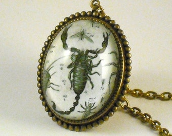 Rock Me Like A Hurricane- vintage inspired Scorpion specimen engraving brass cameo necklace