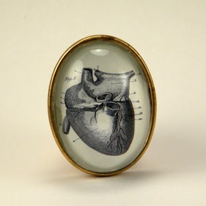 If I Only Had A Heart Brooch Anatomical Heart Engraving. Steampunk Valentine