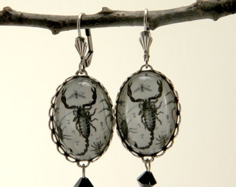 SIlver Scorpion Earrings Desert Insect Steam Punk