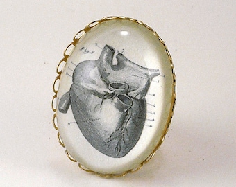 If I only had a heart- vintage Victorian inpsired anatomical medical illustration brass adjustable heart ring