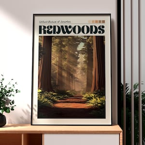 Redwood National Park Print - California Wall Art - Redwood National Park Poster - USA National Park Wall Art - USA Hiking Poster - Cali