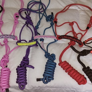 Custom Rope Halters