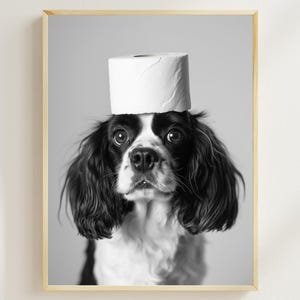 Cavalier King Charles Spaniel With a Toilet Paper Roll on the Head, Printable Bathroom Art, Vintage Dog Photo, Funny Bathroom AI Wall Art