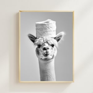 Alpaca con un rollo de papel higiénico en la cabeza, arte imprimible para el baño, arte divertido para la pared del baño, foto vintage de un animal, impresión AI con humor sobre alpacas