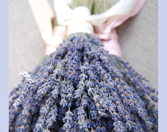Fancy English Lavender Bouquet with Custom Color Hand Tied Ribbon in a Love Knot