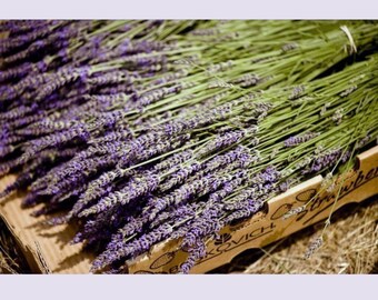 250 French Lavender Stems  Dried Flowers Wedding Decor Centerpiece Table Arrangement Bulk DIY