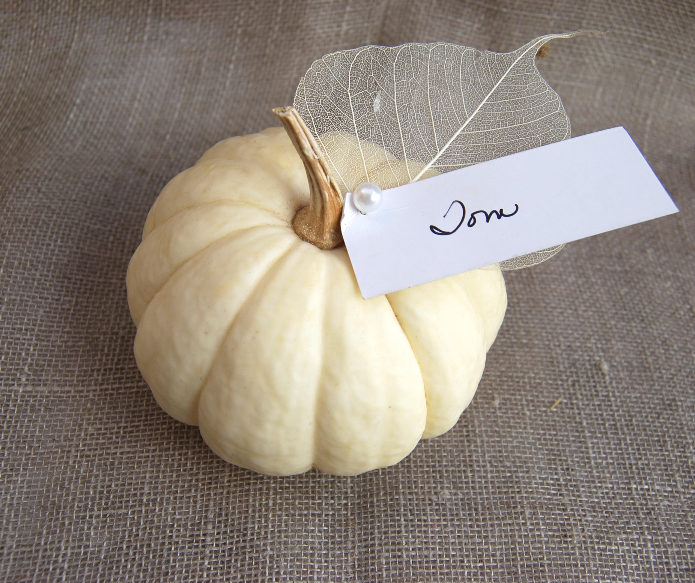 100 REAL White Mini Pumpkins for Table Decor or Fall Weddings Etsy
