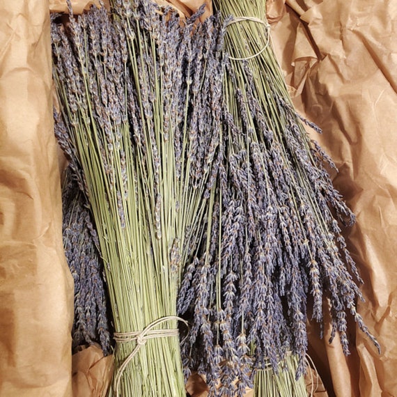 Dried Lavender Bundles, Total 250 Stems 100% Natural Lavender Flowers for DIY Flower Arrangements Home Party Wedding Decor