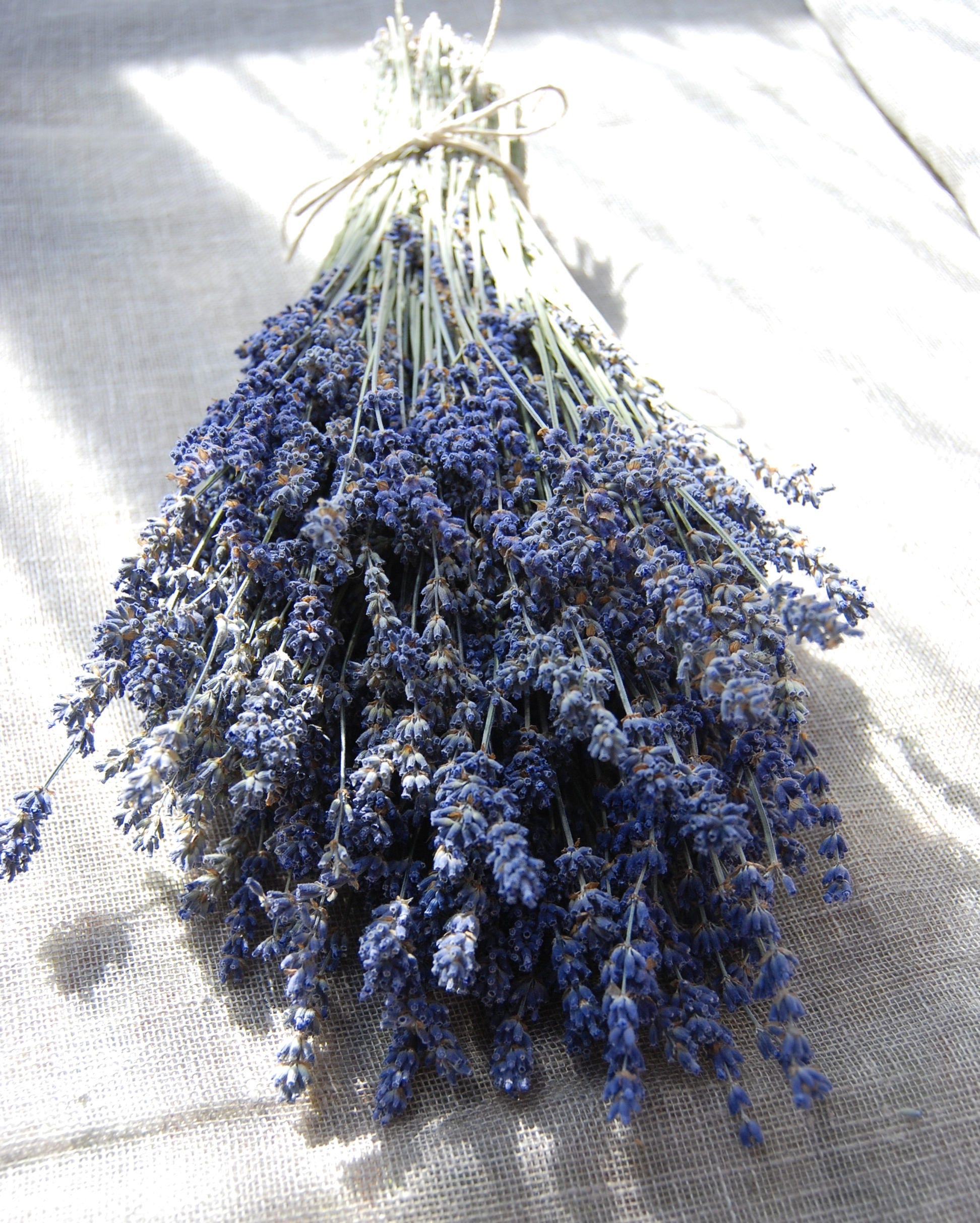 Dried Lavender Stems  Lavender Dried In Stem Bunches – Willow Top