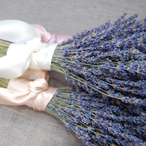 3 Fancy English Lavender Bouquets with Hand Tied Ribbon in a Love Knot image 4