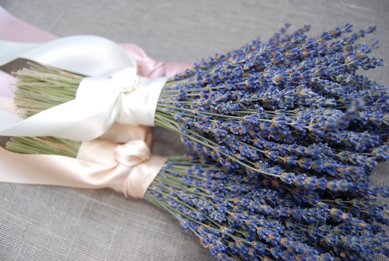 3 Fancy English Lavender Bouquets with Hand Tied Ribbon in a Love Knot image 4