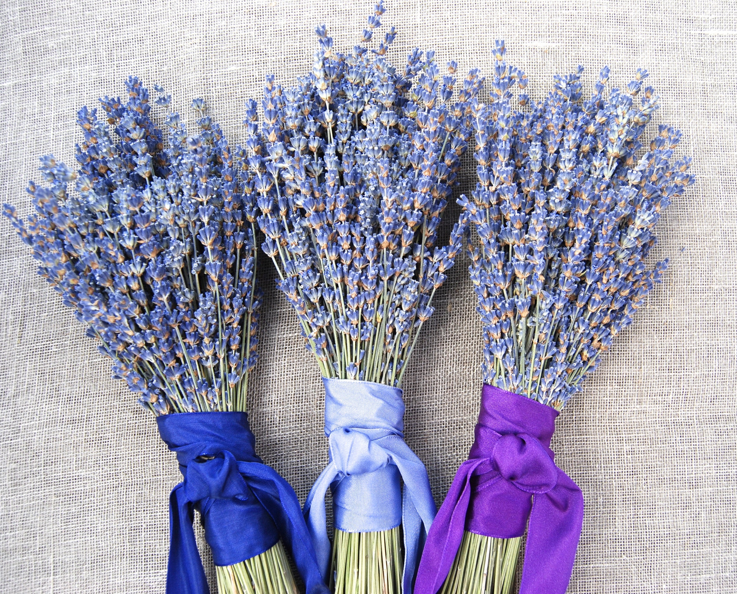 250 French Lavender Stems Dried Flowers Wedding Decor Centerpiece Table  Arrangement Bulk DIY 