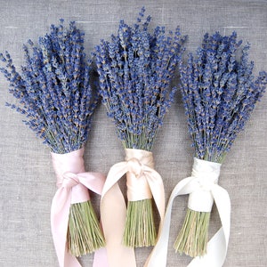3 Fancy English Lavender Bouquets with Hand Tied Ribbon in a Love Knot image 2