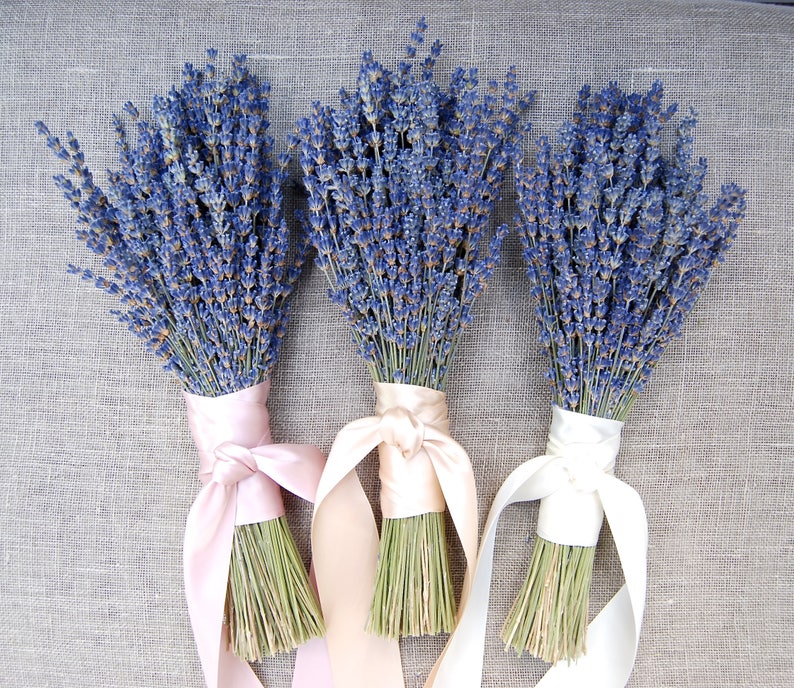 3 Fancy English Lavender Bouquets with Hand Tied Ribbon in a Love Knot image 2