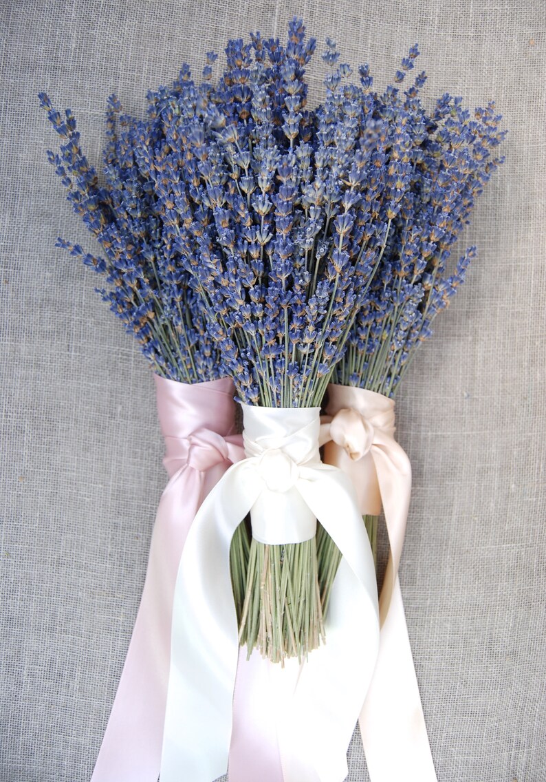 3 Fancy English Lavender Bouquets with Hand Tied Ribbon in a Love Knot image 3