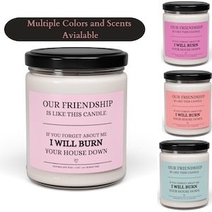 Our Friendship is Like This Candle, Friendship Soy Candle, Friendship Candle Gift, Friendship Gift, Candle Gift For Friend | BFF Gift