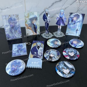 Honkai: Star Rail Robin, Sunday, Stelle, Caelus Art Print - HSR Figurine Standee, Keychain, Badge