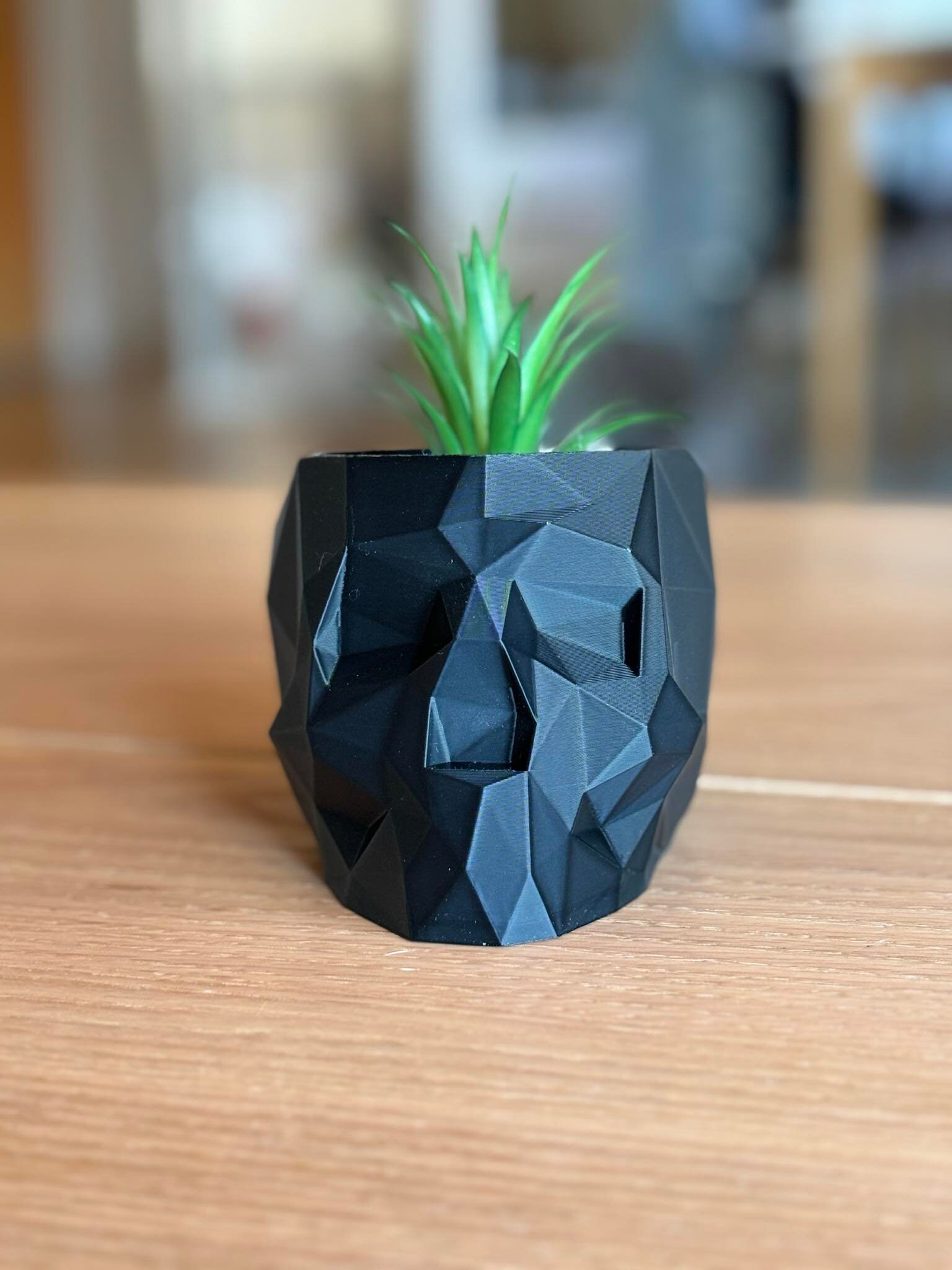 Human Skull Planter Low Poly Succulent Planter With Drain Cute ...