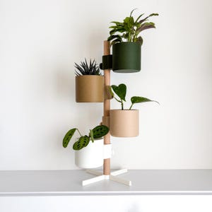 Plant stand with pots | Modern indoor plant pots | Minimalist plant decoration | Decoration with hanging plants & flower pots