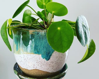 Beach Series - Wheel Thrown Planter with the plate - MADE TO ORDER