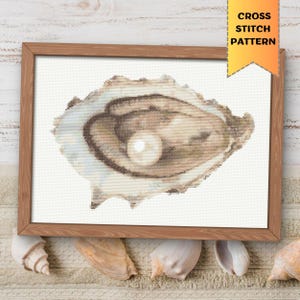 Può includere: Uno schema di punto croce di una perla all'interno di un guscio di ostrica. Il guscio di ostrica è di colore marrone chiaro con un interno bianco. La perla è di forma rotonda e bianca.