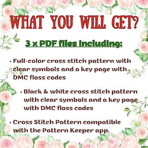Puede incluir: Imagen con texto: "WHAT YOU WILL GET?" y "3 x PDF files including:" seguido de vi&ntilde;etas que describen patrones de punto de cruz, incluidos los c&oacute;digos de hilo DMC y la compatibilidad con la aplicaci&oacute;n Pattern Keeper. Borde floral.