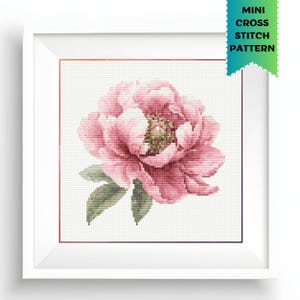 Pink Peony Cross Stitch Pattern Large Flower Small Embroidery Floral Needlework PDF Digital Download