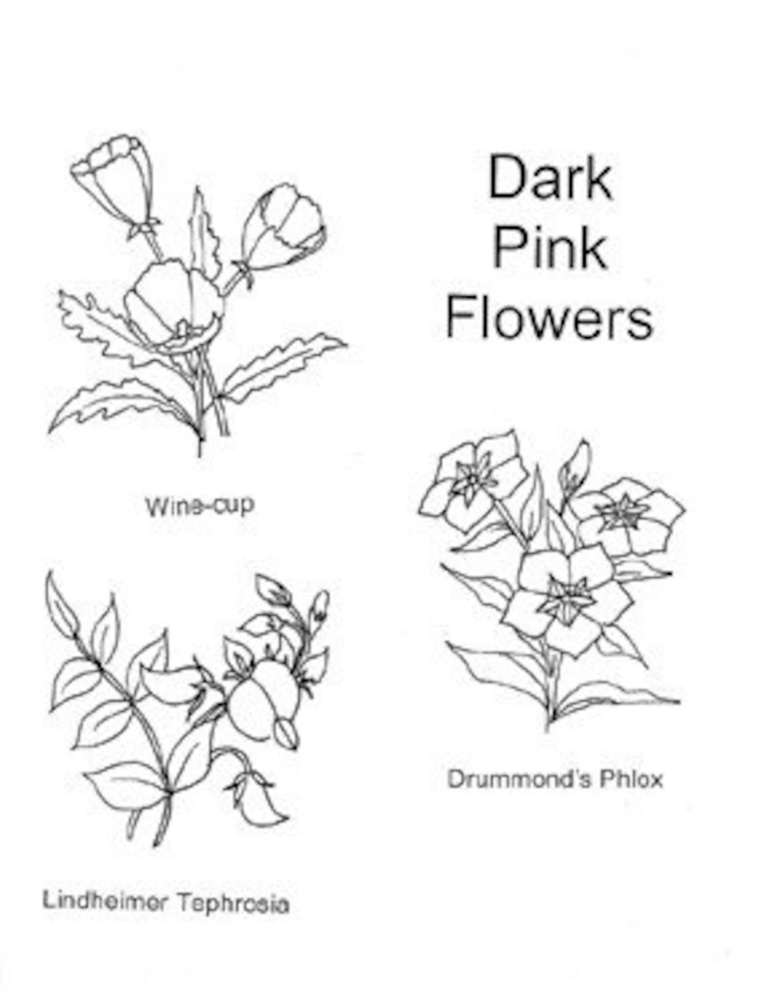 Texas Wildflowers Coloring Page Coloring Pages