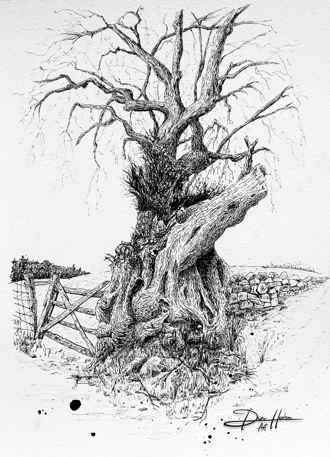 Old Welsh Tree Ink Drawing (A4 Print) - Etsy UK