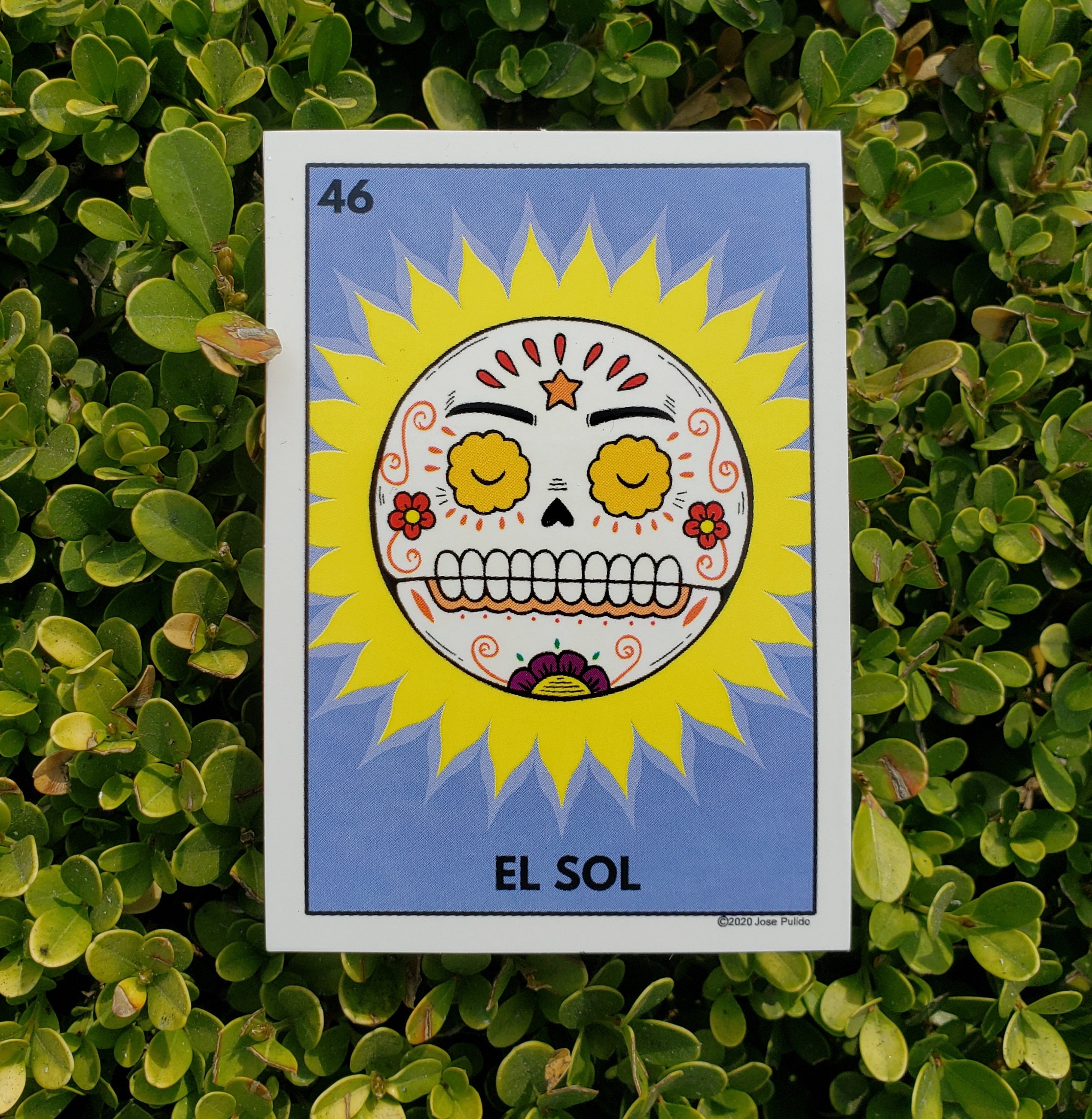 Calavera Loteria 