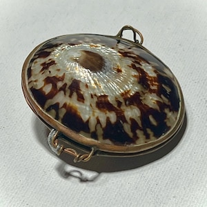 Vintage Brass Hinge Seashell Small Trinket Box