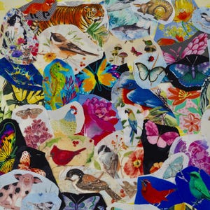 May include: A collage of various animal and nature-themed images. The images include a tiger, birds, butterflies, a seahorse, and a pig. The images are on a yellow background.