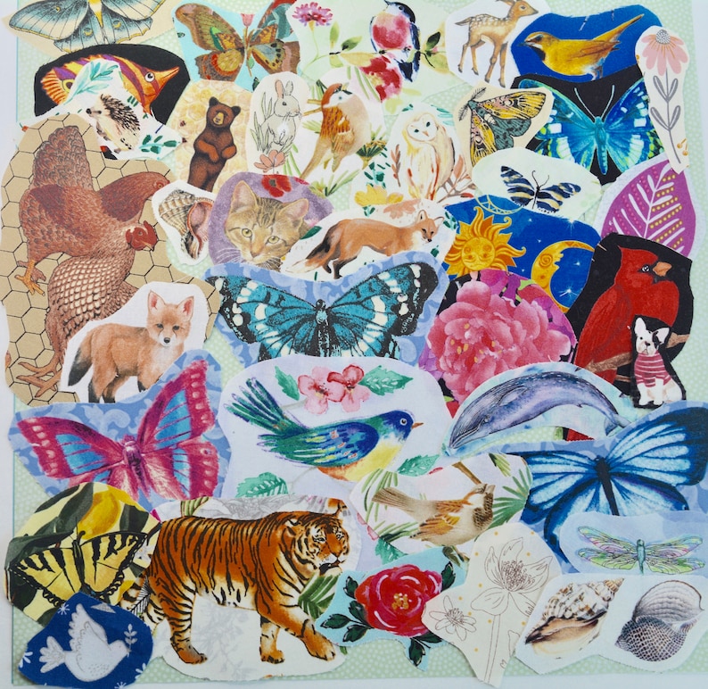May include: A collage of various animal and nature-themed cutouts. The image features butterflies, birds, a tiger, a fox, and other creatures. The cutouts are arranged on a light green background with a dotted pattern, creating a whimsical and artistic composition.