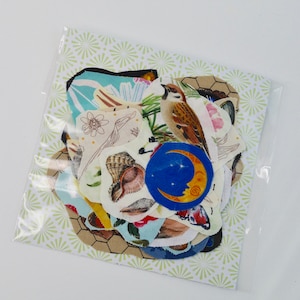 May include: A clear plastic bag containing a collection of fabric patches with nature-themed designs. The patches feature images of a bird, seashells, a crescent moon, and floral patterns. The background paper has a light green and white starburst pattern.