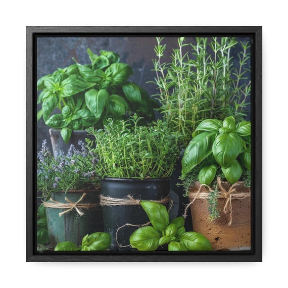 Country Kitchen Herb Garden Gallery Canvas Wraps, Square Frame, Potted Herb Print, Canvas Print, Farmhouse, Modern Farmhouse, Kitchen Print