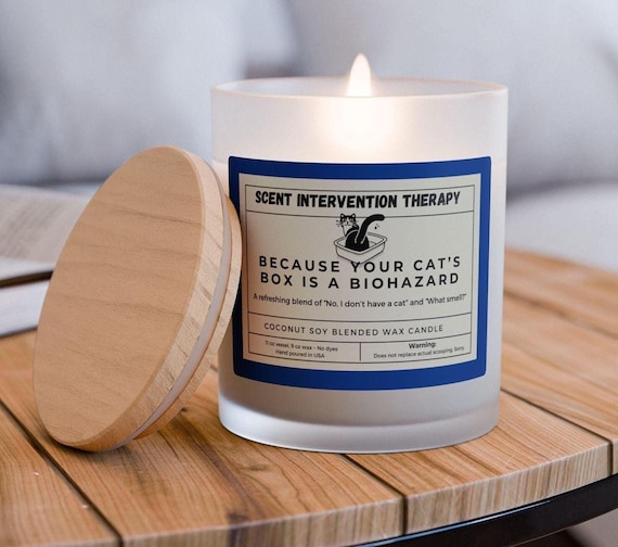 Funny Cat Candle,Frosted Candle, Cat Owners Gifts, Funny Candle, Sarcastic Gift, Humorous Candle, 11oz Candle, Cat Lovers Decor