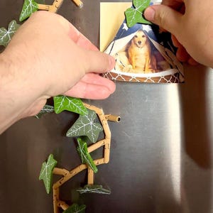 May include: A wooden ivy vine with green leaves is attached to a stainless steel refrigerator with magnets. A photo of a dog in a tent is also attached to the refrigerator.