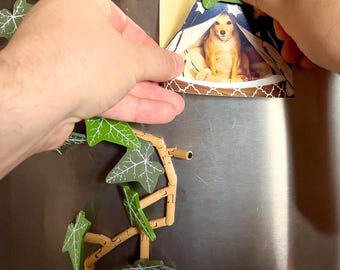 Magnetic Ivy Vine | 3D Printed Plants | Detachable Leaf Magnets | Forgecore | Fake Plants| fairycore cottagecore, and botanical aesthetics
