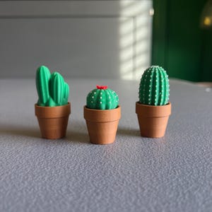 May include: Three small potted cactus plants. The cactus on the left has two green stems. The cactus in the middle is round and has a red flower on top. The cactus on the right is tall and cylindrical.