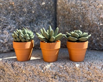Succulent Fidget Spinner | Teacher Desk Toy, Quiet Sensory Tool