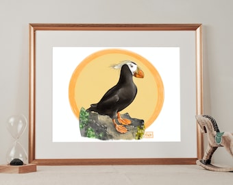 Frailecillo copetudo, pintura digital