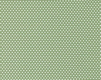 Emma Dots Fresh Grass 37635 17 - by Sheri and Chelsi for Moda -  100% quilting cotton - Sold by the half yard