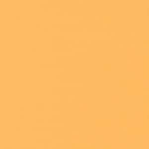 May include: A solid, bright orange background.